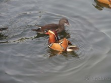 Гранд-тур «Ворота Китайской империи»