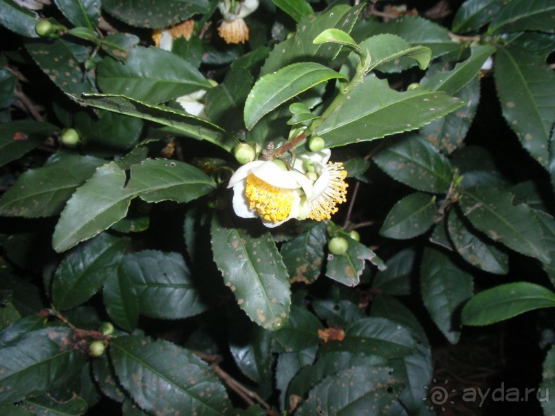 Гранд-тур «Ворота Китайской империи»