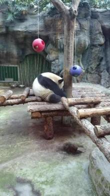 Гранд-тур «Ворота Китайской империи»