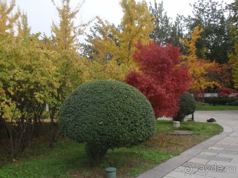 Гранд-тур «Ворота Китайской империи»