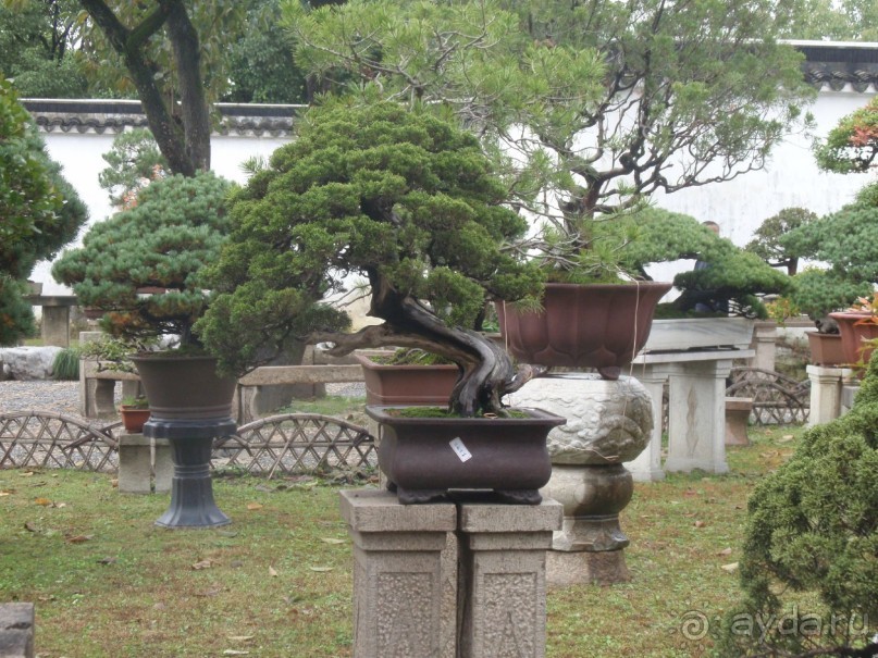 Гранд-тур «Ворота Китайской империи»