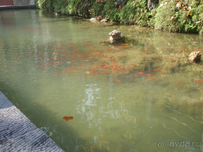 Гранд-тур «Ворота Китайской империи»