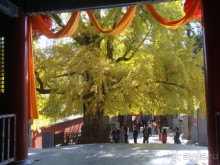 Гранд-тур «Ворота Китайской империи»