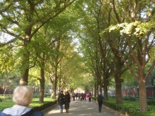 Гранд-тур «Ворота Китайской империи»