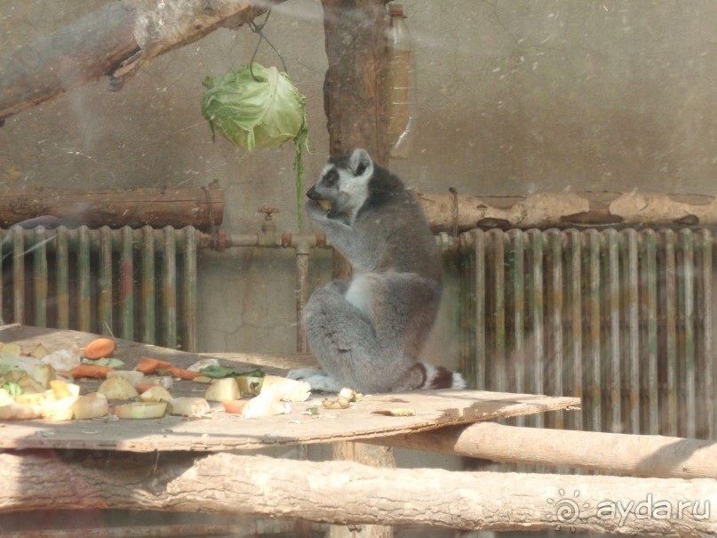 Гранд-тур «Ворота Китайской империи»