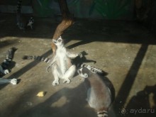 Гранд-тур «Ворота Китайской империи»