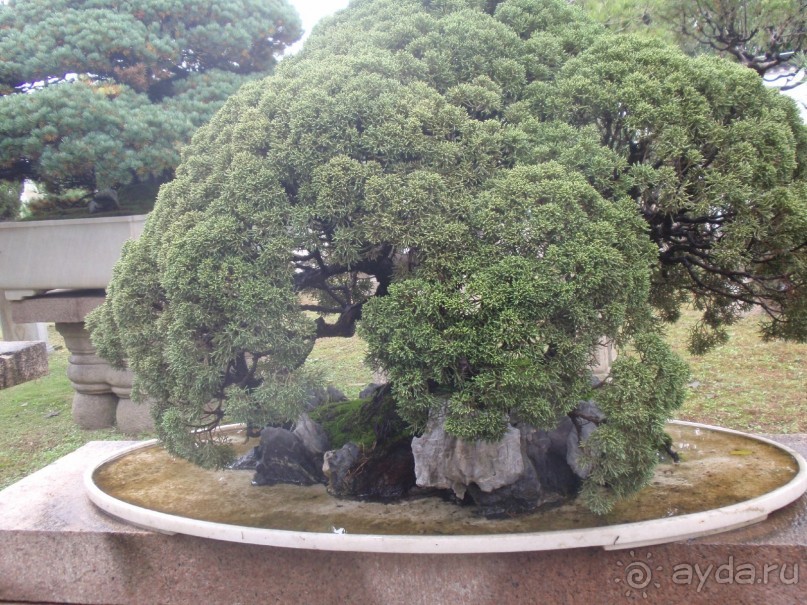 Гранд-тур «Ворота Китайской империи»