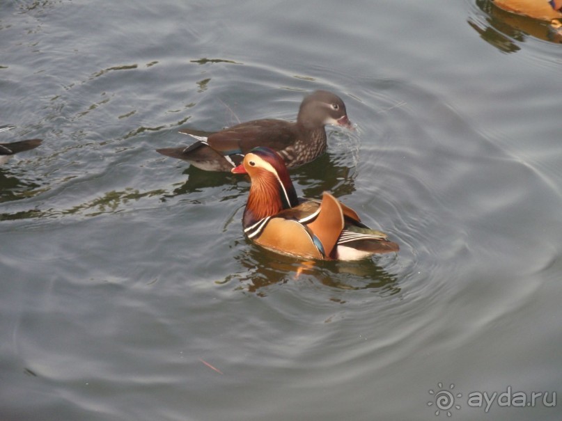 Гранд-тур «Ворота Китайской империи»