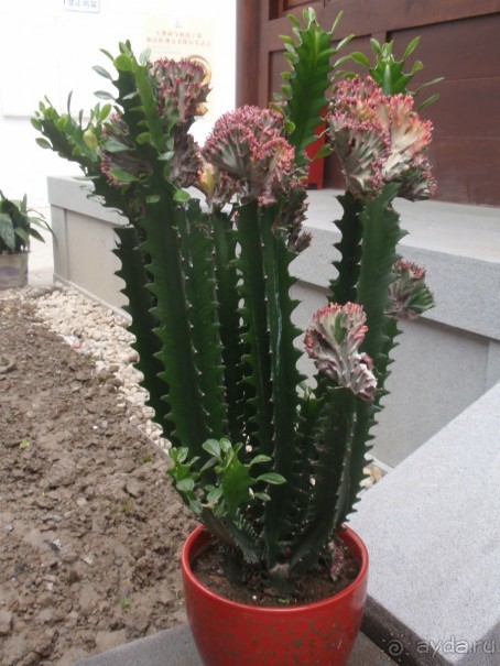 Гранд-тур «Ворота Китайской империи»