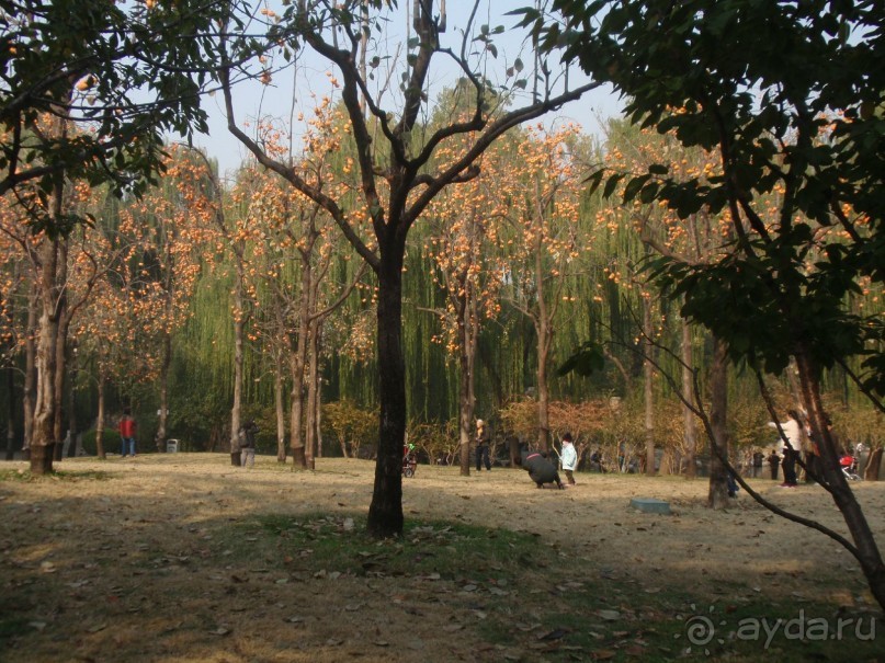 Гранд-тур «Ворота Китайской империи»