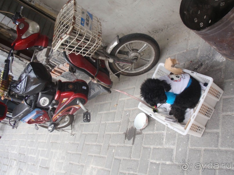 Гранд-тур «Ворота Китайской империи»