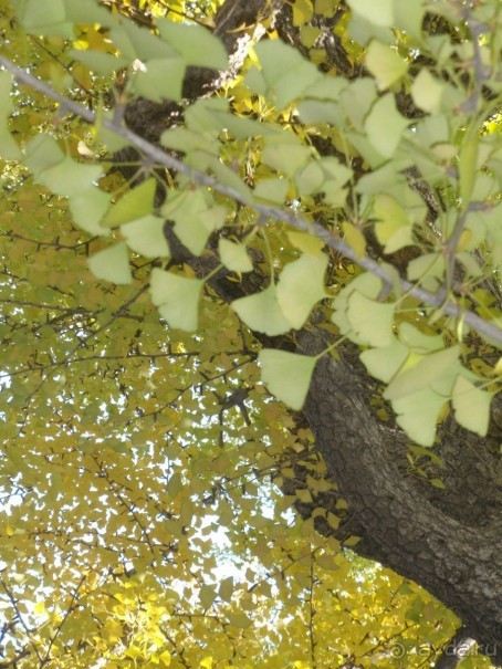 Гранд-тур «Ворота Китайской империи»