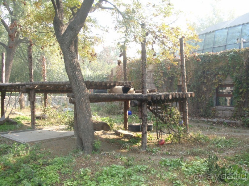 Гранд-тур «Ворота Китайской империи»