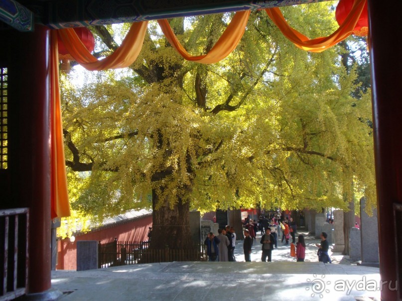 Гранд-тур «Ворота Китайской империи»