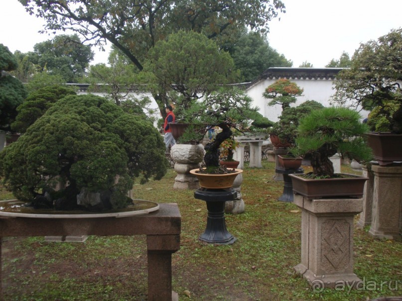 Гранд-тур «Ворота Китайской империи»