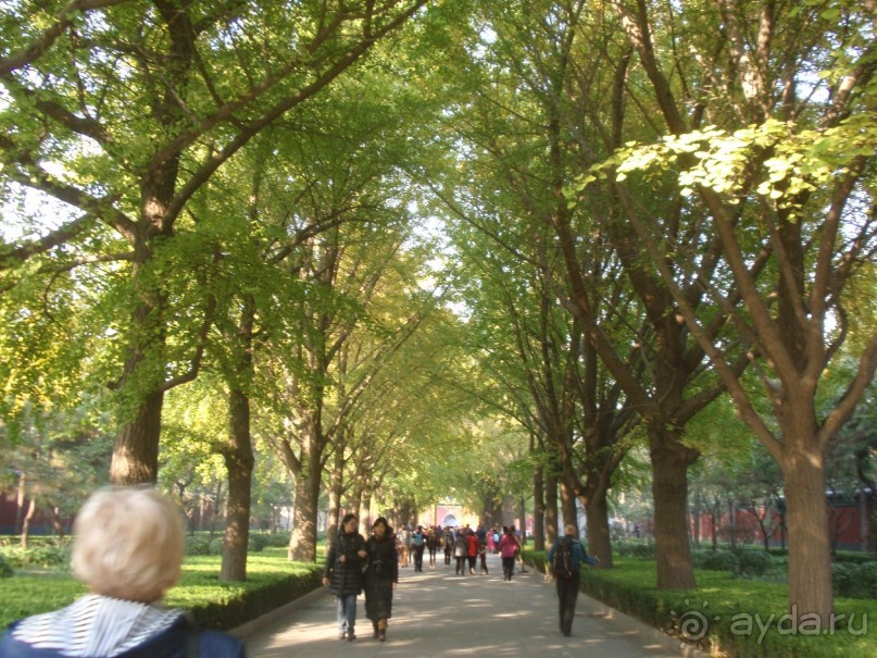 Гранд-тур «Ворота Китайской империи»