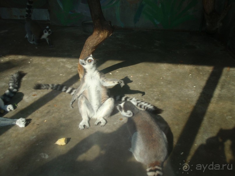 Гранд-тур «Ворота Китайской империи»