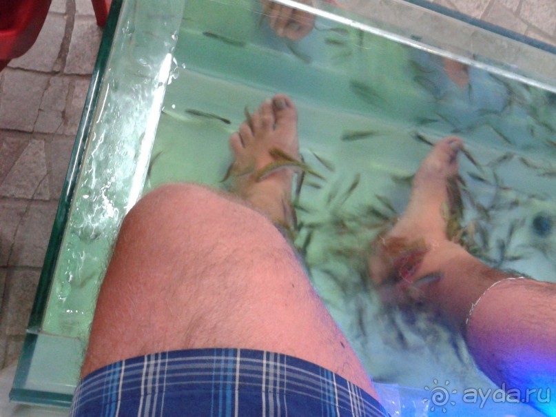 Тайланд. Пхукет. Январь.