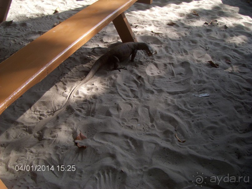 Тайланд. Пхукет. Январь.