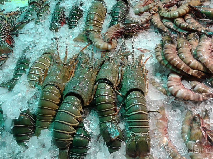 Тайланд. Пхукет. Январь.