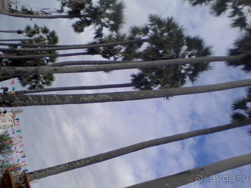 Пхукет Тайланд. Waraburu 4* пляж Карон