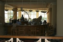 фото Hilton Sharm Waterfalls Resort