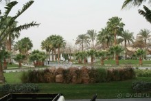 фото Hilton Sharm Waterfalls Resort