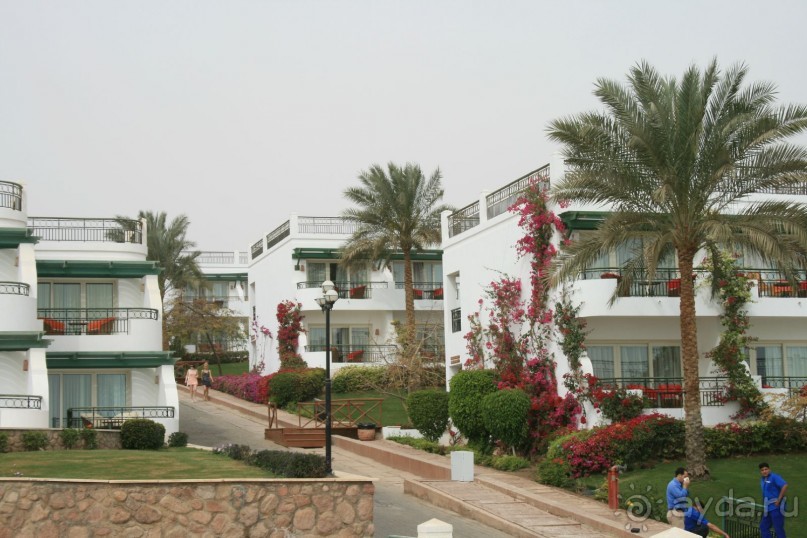фото Hilton Sharm Waterfalls Resort