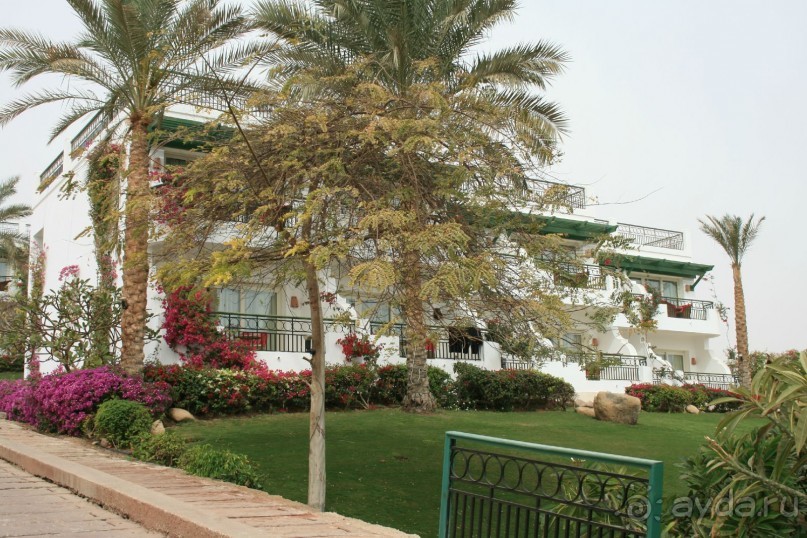 фото Hilton Sharm Waterfalls Resort
