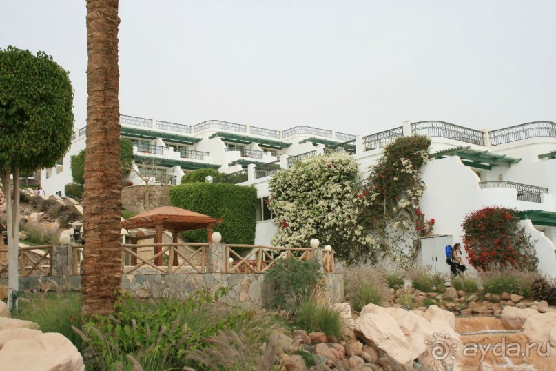 фото Hilton Sharm Waterfalls Resort