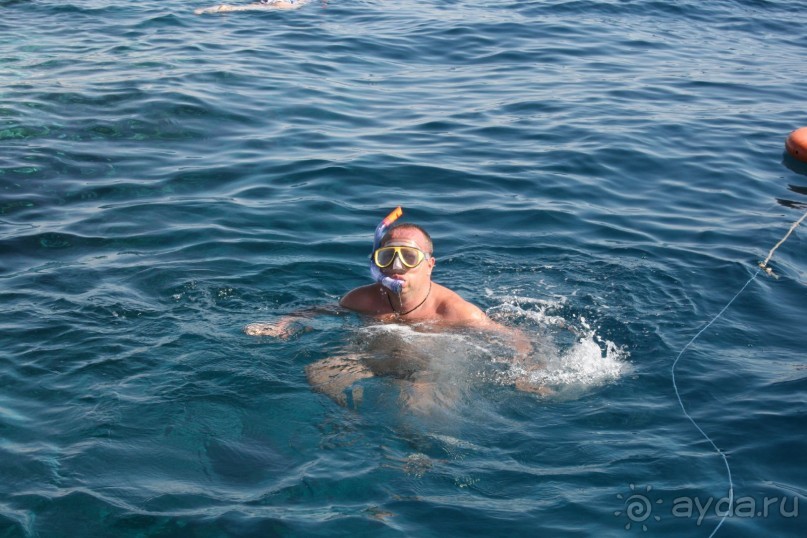 фото Hilton Sharm Waterfalls Resort