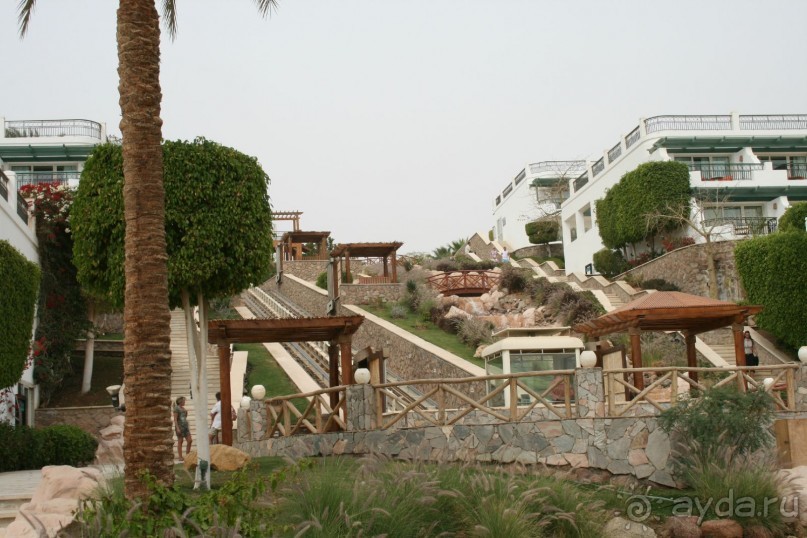 фото Hilton Sharm Waterfalls Resort