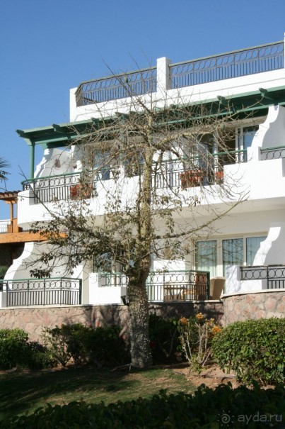 фото Hilton Sharm Waterfalls Resort