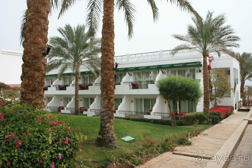 фото Hilton Sharm Waterfalls Resort