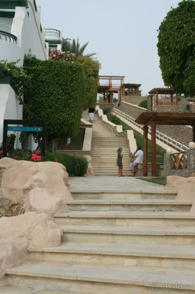 фото Hilton Sharm Waterfalls Resort