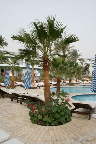 фото Hilton Sharm Waterfalls Resort