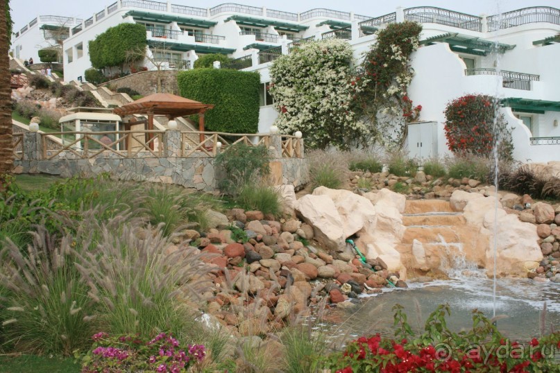 фото Hilton Sharm Waterfalls Resort