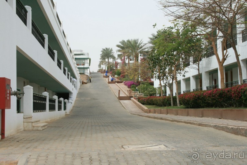 фото Hilton Sharm Waterfalls Resort