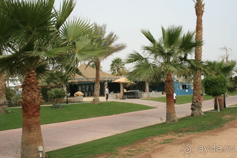 фото Hilton Sharm Waterfalls Resort