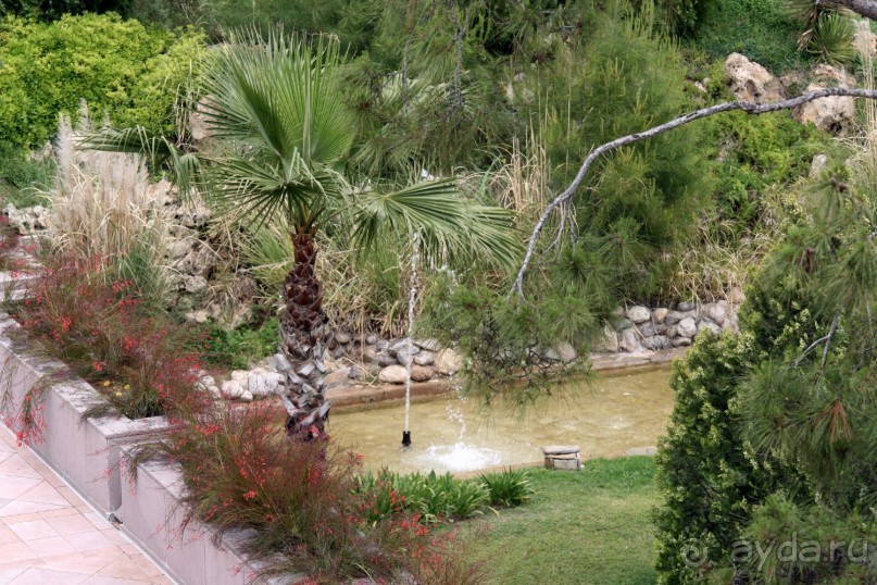 Хороший отель! На все 5!