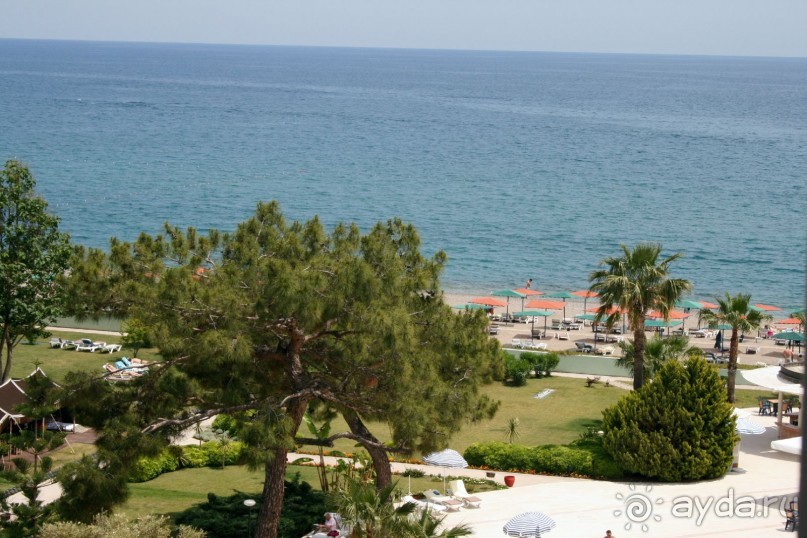 Хороший отель! На все 5!