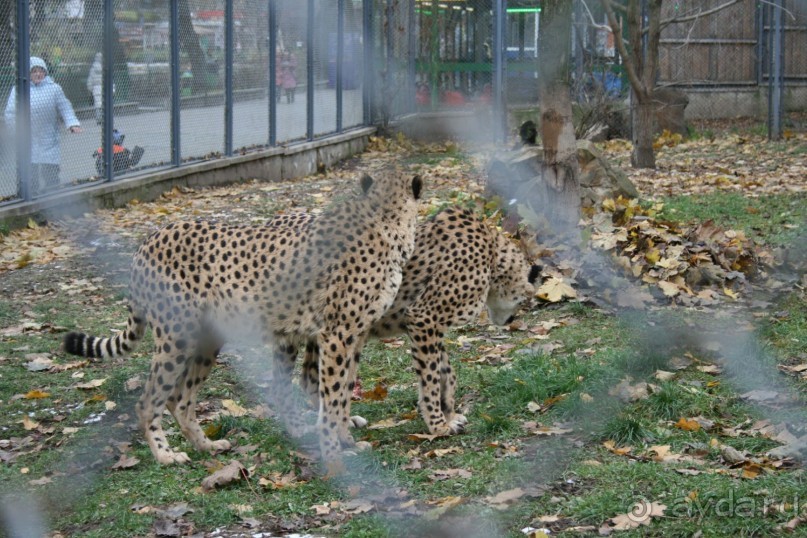 Очень красивое место!