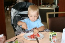 фото Viking Garden Hotel