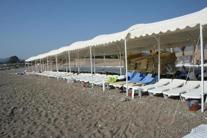 фото Viking Garden Hotel