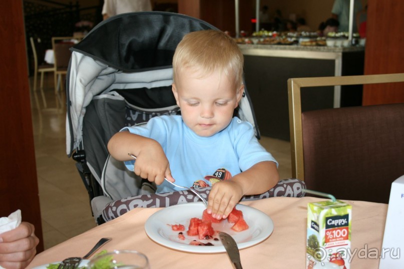 Арбузы каждый день.