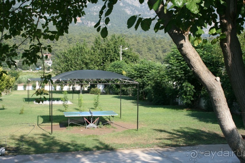 Теннисный стол