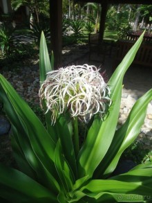 Классный отдых!