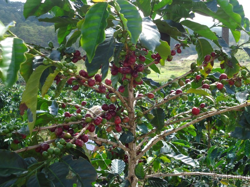 Классный отдых!