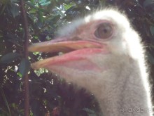 Классный отдых!