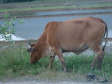 Классный отдых!